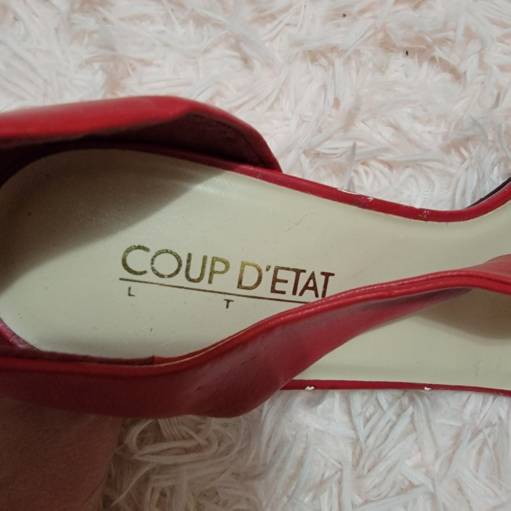 COUP D'ETAT - Picture 8 of 9